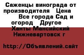 Саженцы винограда от производителя › Цена ­ 800 - Все города Сад и огород » Другое   . Ханты-Мансийский,Нижневартовск г.